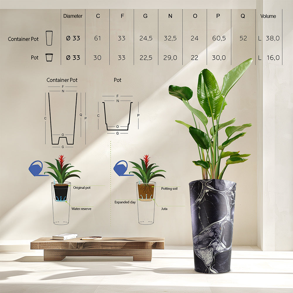 Vaso Galaxy